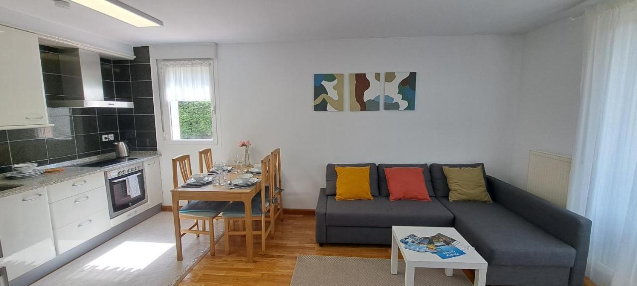 Appartement Lumineux T3 Avec Jardin Privatif A Hendaye - Parking Et Wif Gratuit Bagian luar foto